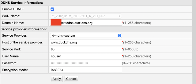DuckDNS Settings